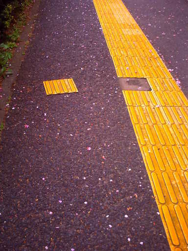 �`�����X�i�@�Ђ��