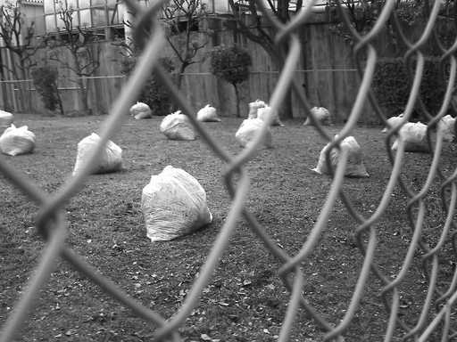 �`�����X�i�@�Ђ��