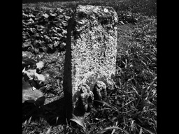 �`�����X�i�@�Ђ��