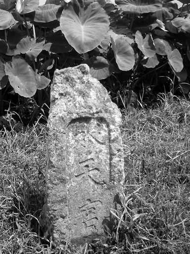 �`�����X�i�@�Ђ��