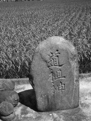 �`�����X�i�@�Ђ��