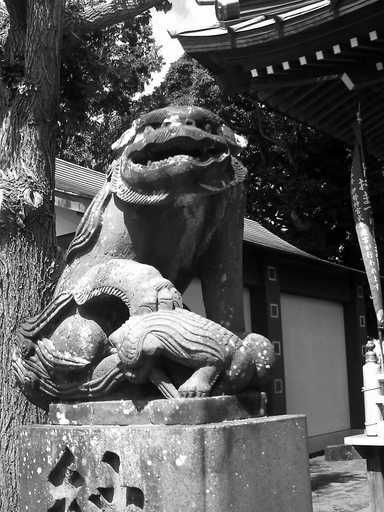 �`�����X�i�@�Ђ��