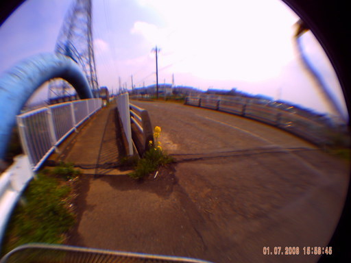 �`�����X�i�@�Ђ��