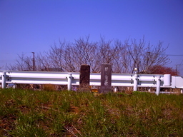 �`�����X�i�@�Ђ��