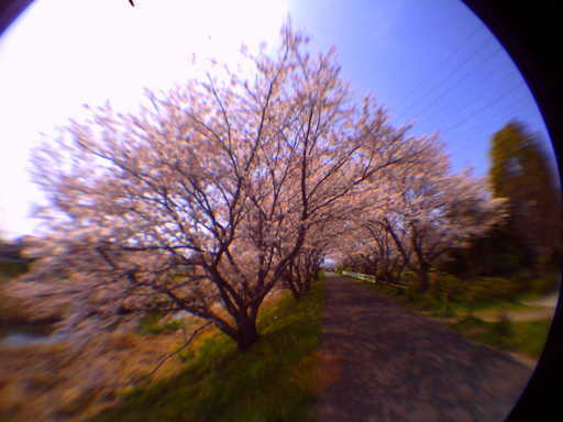 �`�����X�i�@�Ђ��