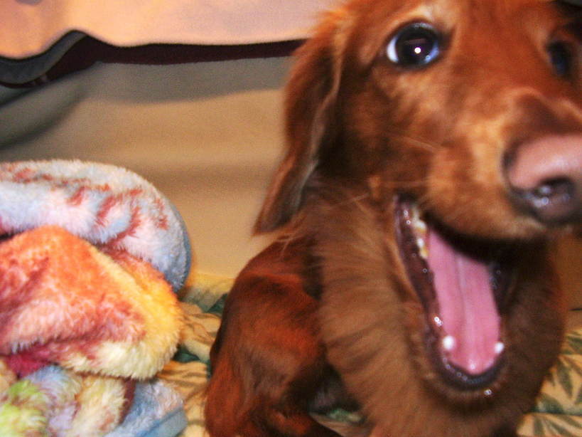 �����̂�����