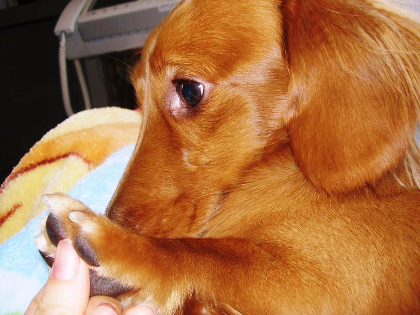 �����̂�����