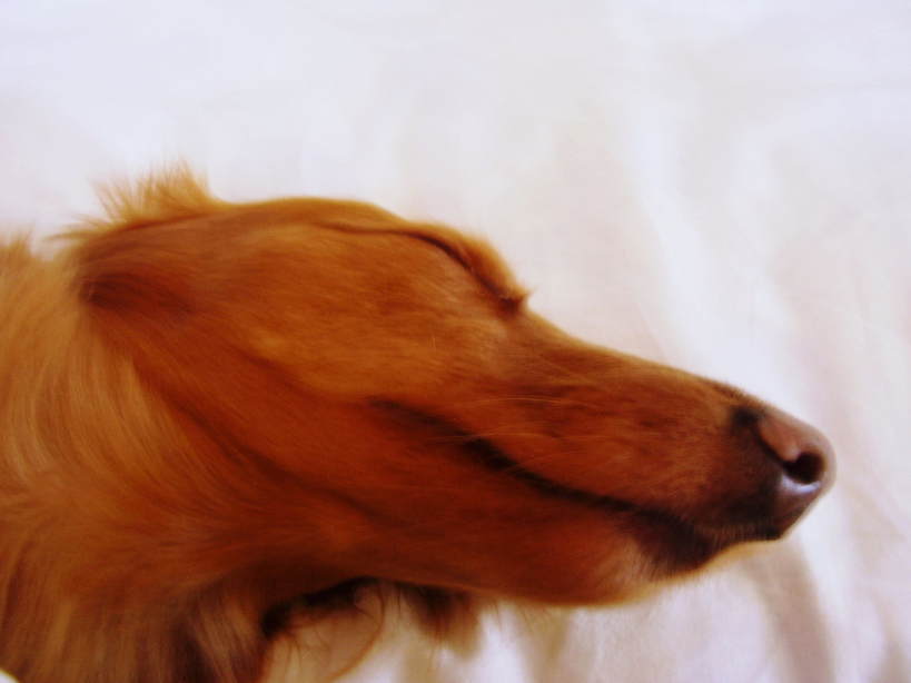 �����̂�����