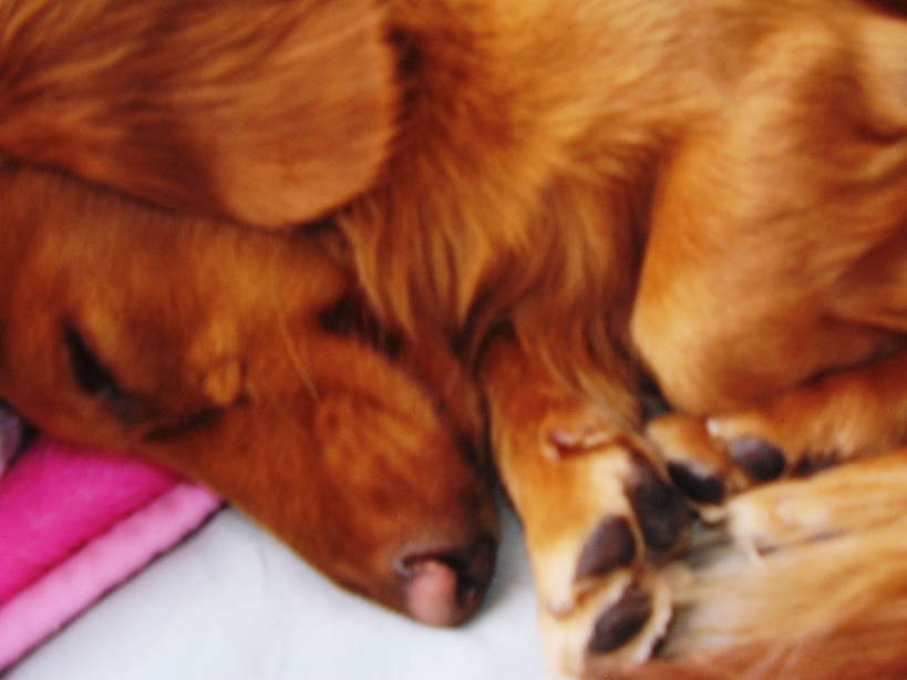 �����̂�����