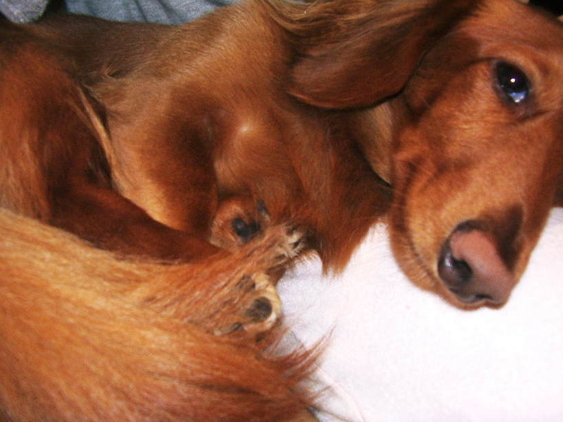 �����̂�����