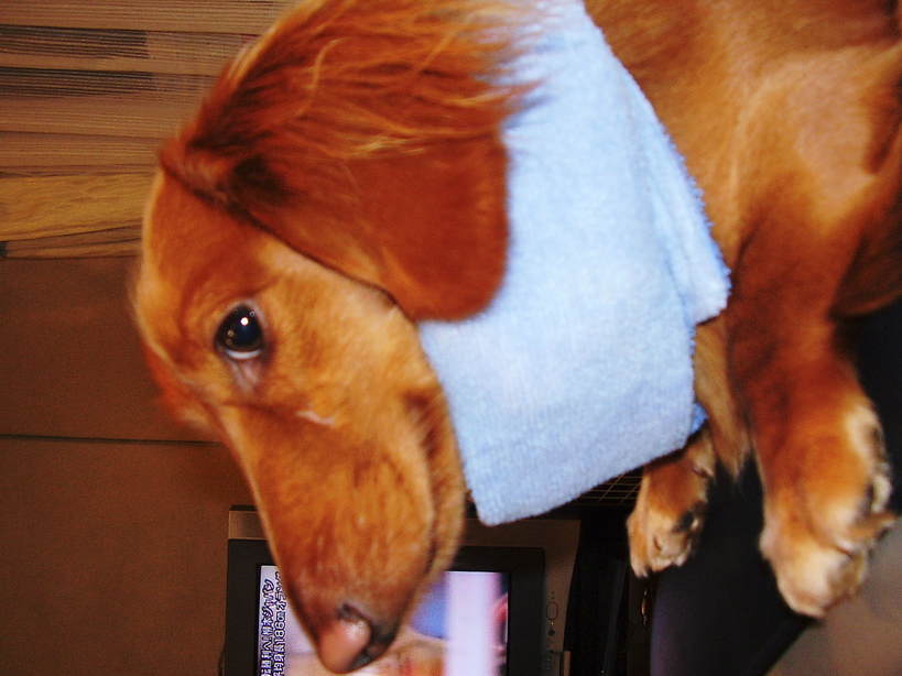 �����̂�����