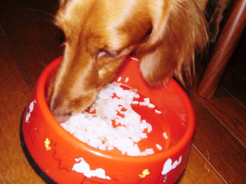 �����̂�����