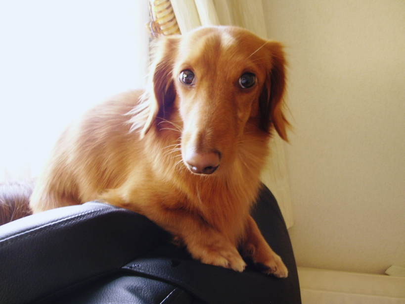 �����̂�����