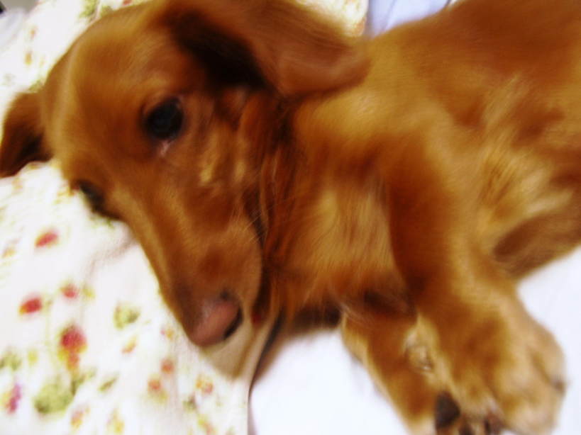 �����̂�����