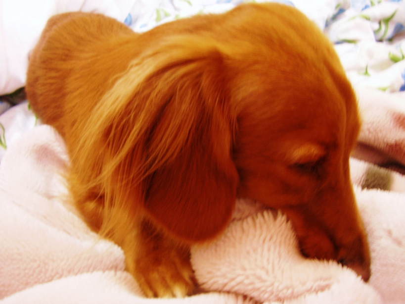 �����̂�����