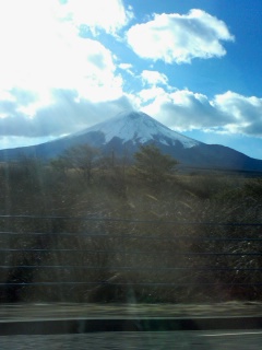 �����Y�k�̃T���o����