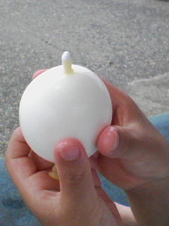 �����Y�k�̃T���o����