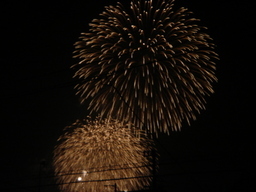 �����Y�k�̃T���o����