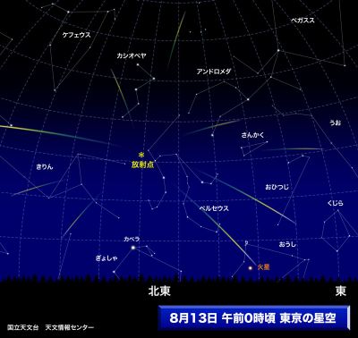 �����Y�k�̃T���o����