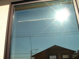 �����Y�k�̃T���o����