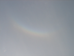 �����Y�k�̃T���o����