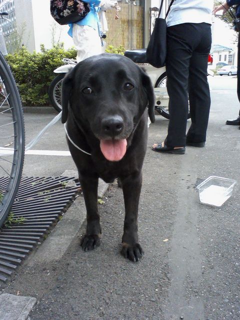 �����Y�k�̃T���o����