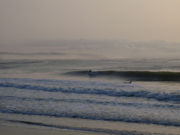 �����C�̃R����