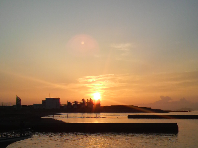 �����C�̃R����