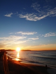 �����C�̃R����