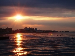 �����C�̃R����