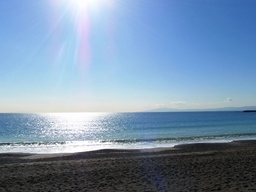 �����C�̃R����