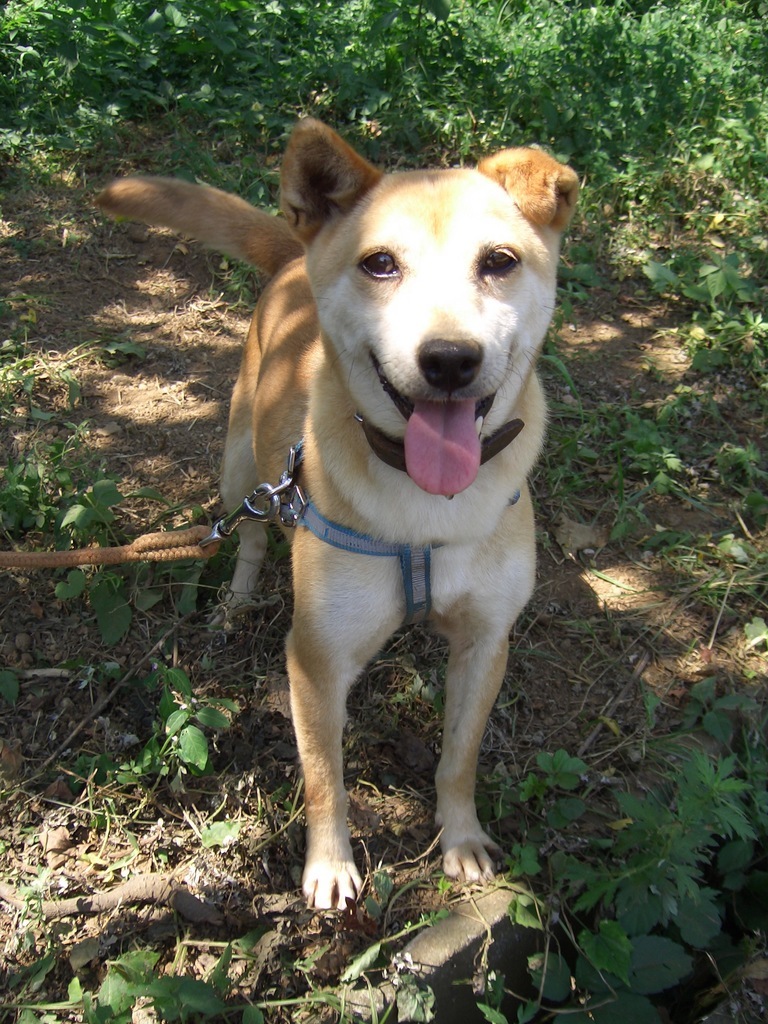 �n�m���n�e�e