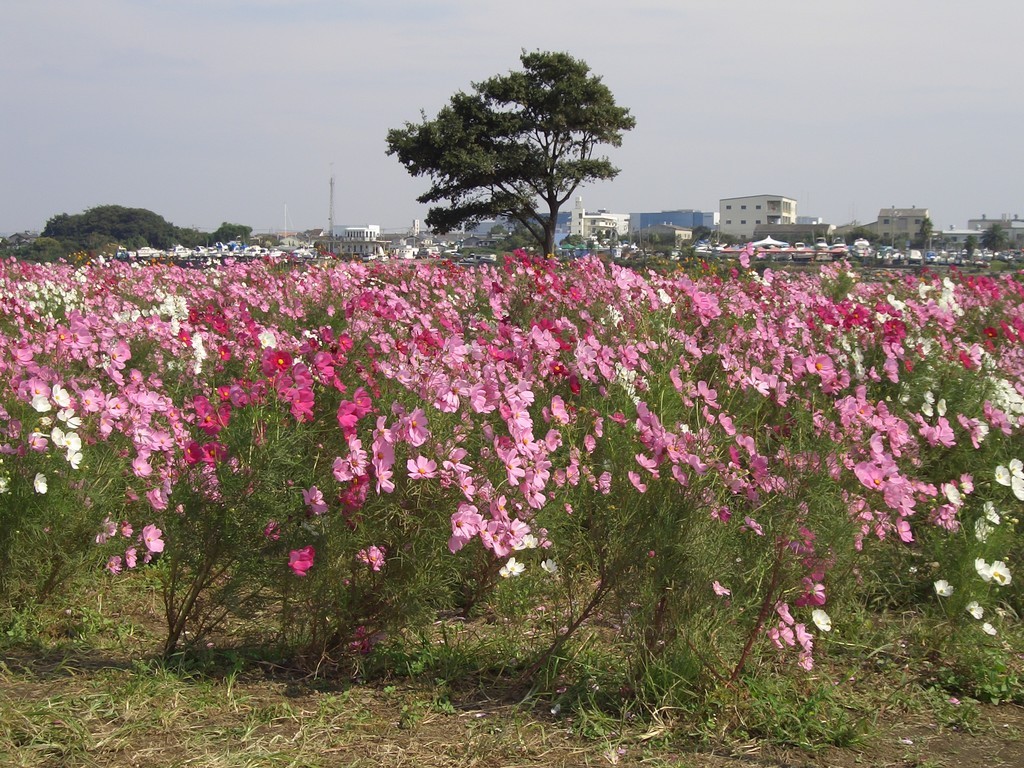 �n�m���n�e�e