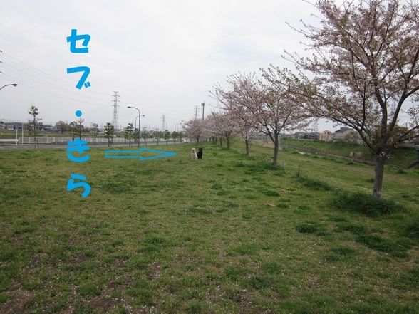 Zu̓L