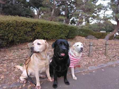 �g�����N���i�Z�u������̓��L�j