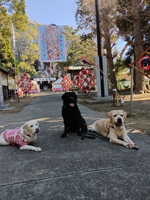 �V�N�����܂��Ă��߂łƂ��������܂��B�i�Z�u������̓��L�j