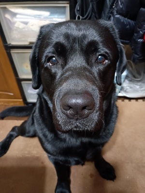 �������̂ŁE�E�E�i�Z�u������̓��L�j