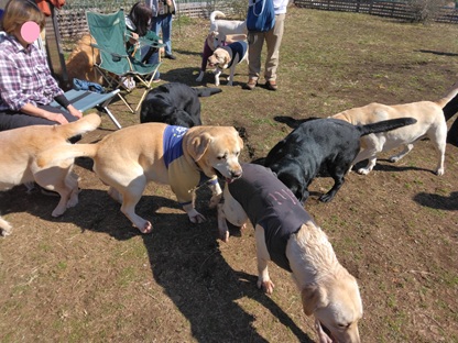 �Z�u������̓��L