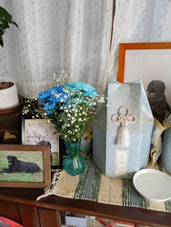 �T�N���o���܂����B�i�Z�u������̓��L�j