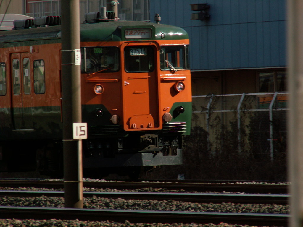 1000�ԑ�̃v�������q