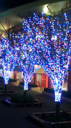 �����Ǐ�