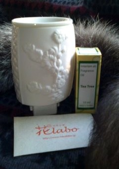 �����Ǐ�