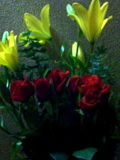 �����Ǐ�