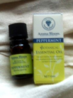 �����Ǐ�