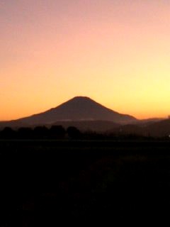 �����Ǐ�