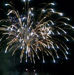 �����Ǐ�