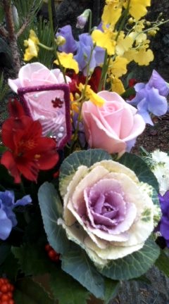 �����Ǐ�