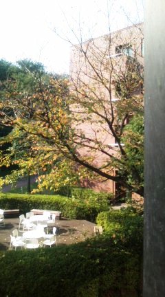 �����Ǐ�