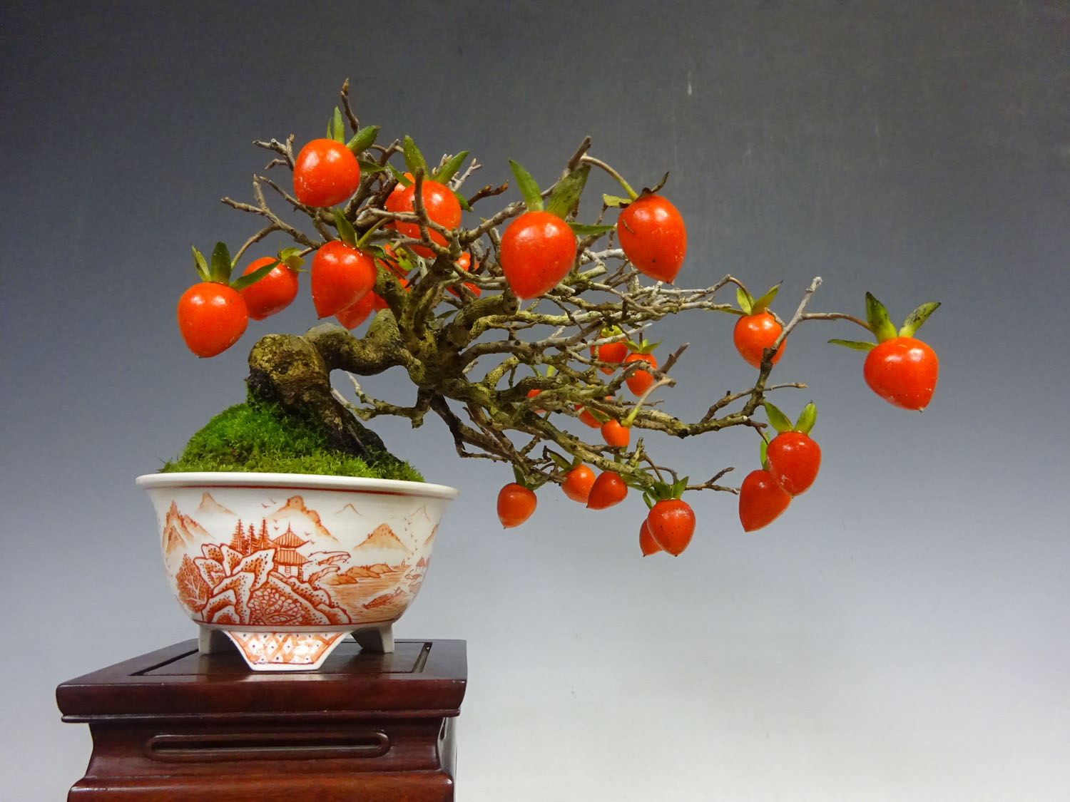 ���i�~�͐��X ������L