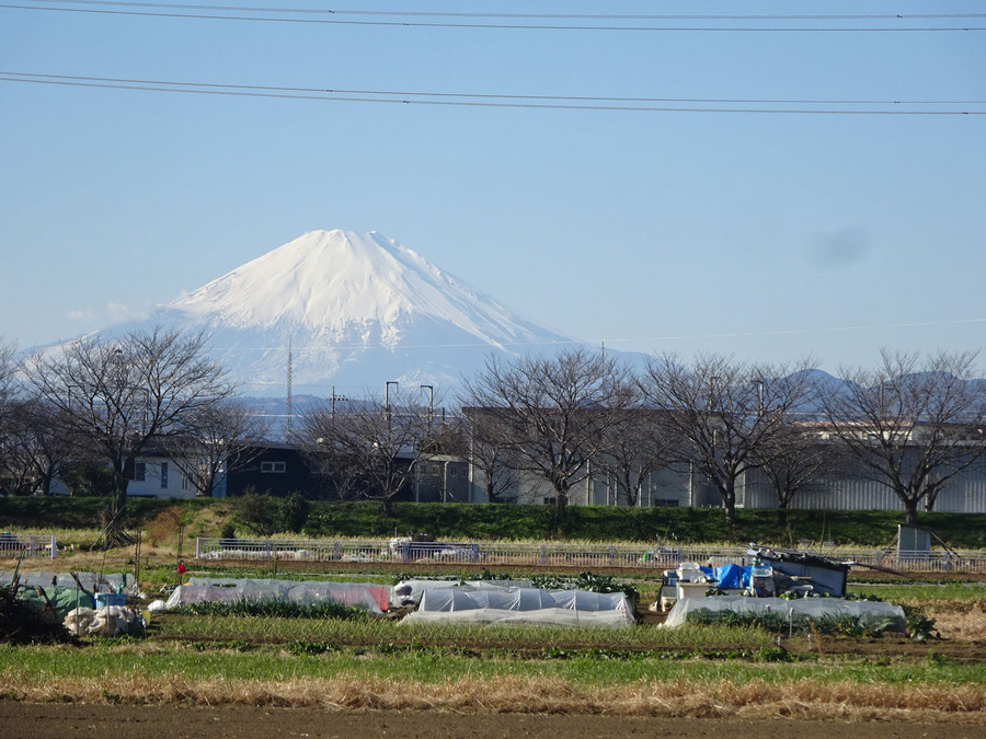 ���i�~�͐��X ������L